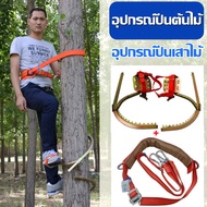 อุปกรณ์ปีนต้นไม้ Tree Climbing ที่ปีนต้นไม้ ปีนต้นไม้ รุ่น อุปกรณ์ปีนต้นไม้ อุปกรณ์ปีนเสาไม้ รองเท้า