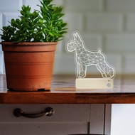 夜間 自動 感應燈-含1燈板