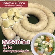 [ของกินหายาก] ลูกรอก ไข่ลูกรอก ลูกลอก  แกงจืด ต้มจืดลูกรอก ไส้ม้วน ทำสดทุกวัน ไส้กรอกไข่ อาหารเด็ก เ