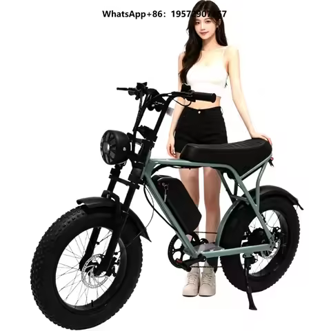 Electric Bike Electric Mountain Bike for Men Women Electric Road Bike