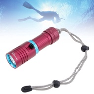 SecurityIng DF10 Diving Flashlight 500 Lumens Underwater Light 30M Waterproof IPX8 Dive Torch for Di