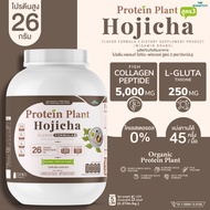 WISAMIN Plant Protein Formula 3 Hojicha | 2.27 kg (5 lb) | Halal | Organic | Collagen Peptide | L-Gl