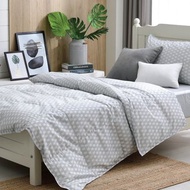 單人/十月羽絨被/可機洗、免被套、蓋一整年的好被子-格紋灰