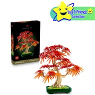 [100% Authentic] Botanicals 10348 Japanese Red Maple Bonsai Tree [Ready Stock]
