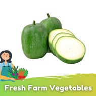 Kundur /Winter Melon (500g+/-)