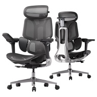 Hbada E3 Pro Ergonomic Office Chair with Dynamic Lumbar Support Adjustable Headrest & Adjustable Arm