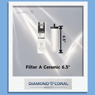 Diamond Water Filter A Ceramic 6.5" (READY STOCK)