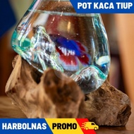 AKUARIUM IKAN CUPANG - SIZE M AKUARIUM IKAN CUPANG KACA TIUP DAN AKAR BALI / AQUASCAPE / AQUARIUM UN