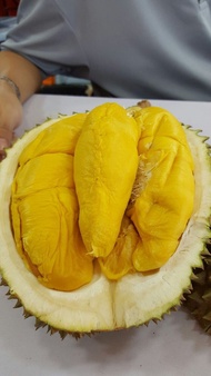 Durian monthong kupas//Durian kupas ( 500 gr ) // Durian Frozen