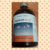 Injection- B12 100ml (vitamin B-12)
