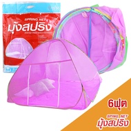 Spring Net มุ้งสปริง  6 ฟุต คละสี รุ่น Spring-Net-6-FEET-07A-Psk2