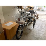 3-Wheel Electric Bike With Battery
