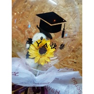 Bubble Balloon Graduation Bachelor Bear Bouquet