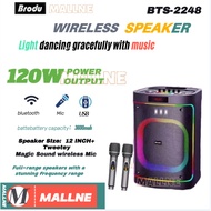 Brodu BTS-2248 Bluetooth Karaoke Speaker With Free Dual Digital Rechargeable Wireless Microphone