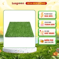 Thảm cỏ sân vườn thảm cỏ nhân tạo trải sàn LUSGREEN: Chiều dài sợi cỏ 10mm Thảm cỏ cao cấp độ bền ca