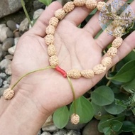 Rudraksha Mukhi BRACELET 3 Jenitri LINES 3 Blessings_Always