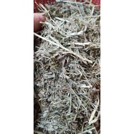 DustFree Timothy Flake/piece, Timothy Hancur