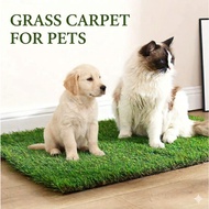 Multipurpose Grass Carpet Cat Carpet Dog Carpet Indoor Carpet Entrance Mat Entrance Grass Carpet Cat