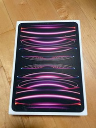 最新 m2 2022 ipad pro 11 256gb wifi space gray 灰黑色 第4代