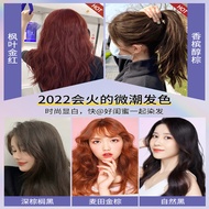 Dicai Hair Dye Cream Plant Extract Hair Dye Official Flagship Store Champagne Alcohol Palm Maple Lea