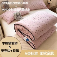 Shell Core Linen Soy Quilt Side Quilt Antibacterial New Style 2025 D23Y