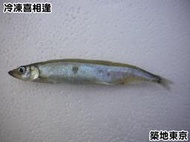 ☆築地東京☆【冷凍喜相逢(柳葉魚)，重量：600g/包】