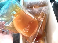 150g 優質高活性康普茶DIY包 Kombucha Scoby 紅茶菌📦SF快遞到付