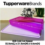 Tupperware Cup cake and Sandwich Large Bake to Basic B2B Snack Store 3.6L (1PCS)