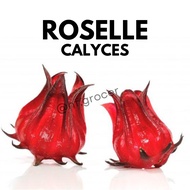 Roselle Calyces fresh or dry | Bunga Roselle Organik | 洛神花 (+/- 1KG) 新鲜/干 Organic Fruits