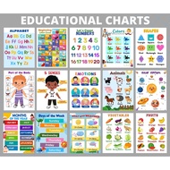 Educational Chart Laminated Wall Charts for Homeschooling Educational Charts thinkingtot.shop