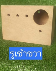 กล่องเพาะนกเลิฟเบิร์ด หงส์หยก