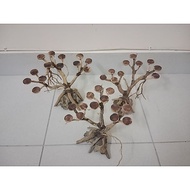 Aquascape Mini Bonsai Shrimp A,B,C (AquaticLifeStudio)
