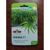 HIWAGA F1 (150 SEEDS) HYBRID GREEN PEPPER / SILI PANIGANG BY EAST WEST SEED