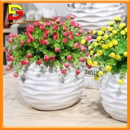 Bình Hoa Mini Chậu Hoa Hồng Nụ Nhiều Mẫu Cắm Sẵn Trang Trí Để Bàn Làm Quà Tặng Độc Đáo DG-427