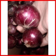 ● ✷ ۩ ✌ RED ONION/Sibuyas na Pula/Pulang Sibuyas250 grams,500grams,1 kilo Fresh Gulay (SHIP OUT AGA