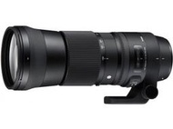 全新嚴選 Sigma 150-600mm F5-6.3 Contemporary 版本 恆伸公司貨