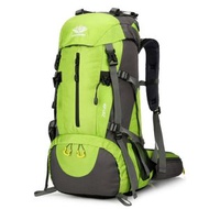 全城熱賣 - 華納海姆 50L 登山背包 多功能戶外運動大容量尼龍雙肩包 徒步旅行包（綠色）