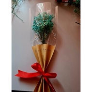 Baby breath (Gypsophila) mini bouquet