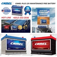 Camel Plus 55D23L 12V Maintenance Free Battery