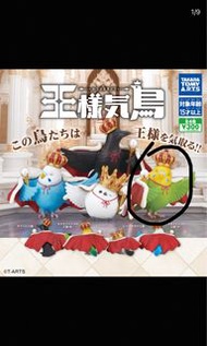 王者鳥 皇冠雀 扭蛋 鸚鵡 王漾