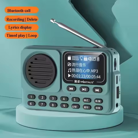Mini Portable FM Radio LED Display Radios Receiver Wireless Bluetooth Speaker HD Recorder Support Ly