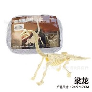 恐龍化石模型兒童考古玩具DIY手工砌圖益智禮物- 大號梁龍石膏裸裝 均碼