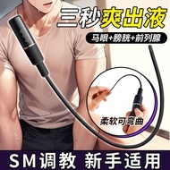 Electric Horse Eye Vibrator Boys Prostate Massager Erotic Masturbator Abnormal SM Urethral Training电