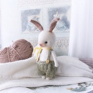 Bunny Doll with clothes, White Rabbit plush animal, Crochet Rabbit Toy