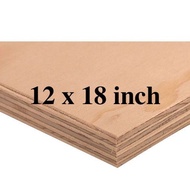 ♞12 x 18 inches pre-cut premium marine plywood