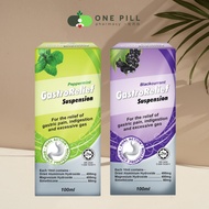 Winwa GastroRelief Suspension Peppermint/ Blackcurrant (100ml) | Exp: 01/2026