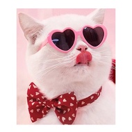 Pet Cat Cat Play Cool Dog Doll Photo Props Small Dog Funny Sunglasses Birthday Accessories 1E3E