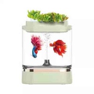 畫法幾何迷你懶人魚缸Pro版 | 養魚種花 | 低噪增氧 | 可拆卸分區擋板