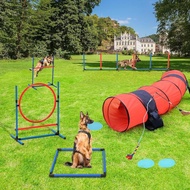 [Dealsforyoudays]Yitahome Dog Agility Training Equipments: Includes Flirt Pole Toy, 3 Flying Discs, 
