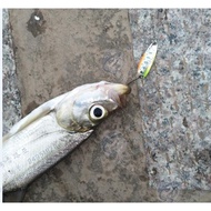 SMITH SMITH D-S Line 3g Flying Feather Slightly Sequined Horse Mouth Trout Mouth Green Lure